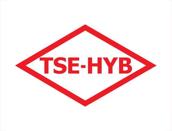tse, tse hizmet, tse hizmet yeterlilik belgesi,
